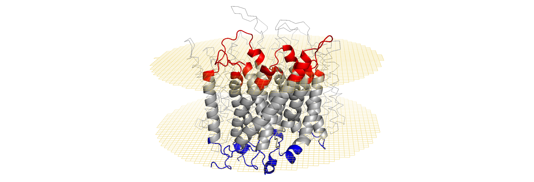 Three-dimensional view of the RHD structure